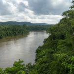 Ancient Wisdom and Modern Science Offer a New Path for Protecting the Amazon